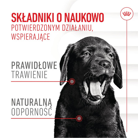Royal Canin Supplements Dog Immunity & Digest Puppy 100g Suplementy W Postaci Przysmaków Wspierające Prawidłowe Trawienie I Odporność Szczeniąt