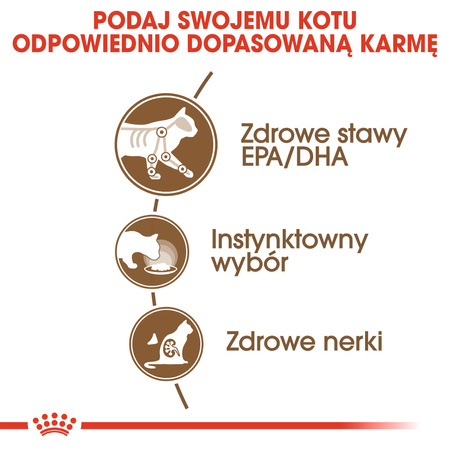 Royal Canin FHN Ageing +12 w Sosie i Galaretce 12x85g Mokra Karma Dla Kotów Starszych