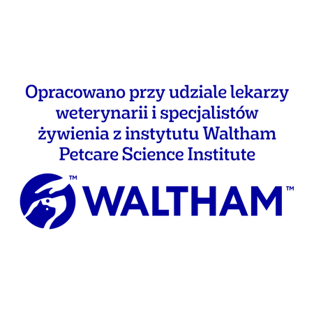 Pedigree Ranchos Sausages 60g Naturalny Przysmak dla Psa Z Wieprzowiną I Soczystymi Jabłkami