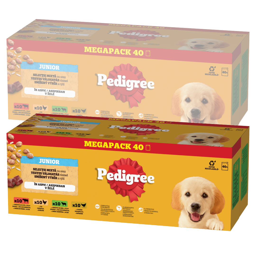 Pedigree Junior Wybór Smaków 80x100g Mokra Karma Dla Szczeniąt  Wołowina Kurczak Jagnięcina Ryż W Galaretce