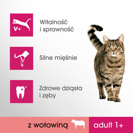 PERFECT FIT Adult 1+ 750g Sucha Karma Dla Kotów Dorosłych Bogata w Wołowinę