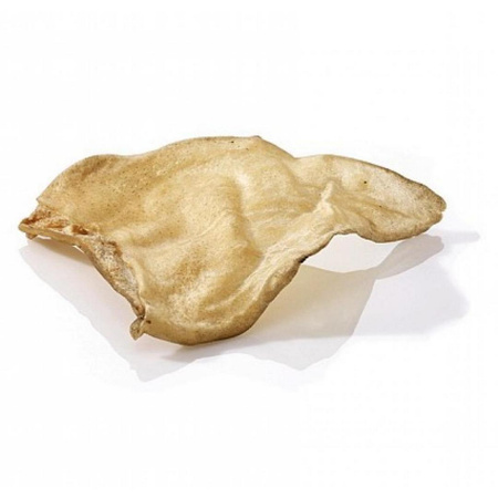 MACED Suszone Ucho Wołowe 1 Sztuk Przysmak Dla Psa