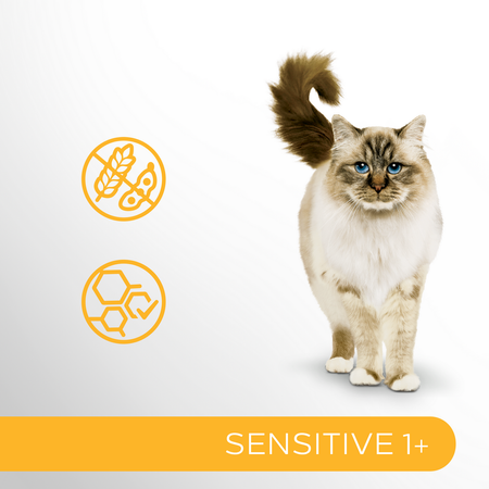 Perfect Fit Sensitive 1+ 24x85g Mokra Karma Dla Kotów Z Kurczakiem W Sosie