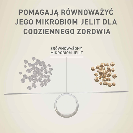 Purina One Mini Adult 2x800g Sucha Karma Dla Psów Małych Ras Z Wołowiną I Ryżem