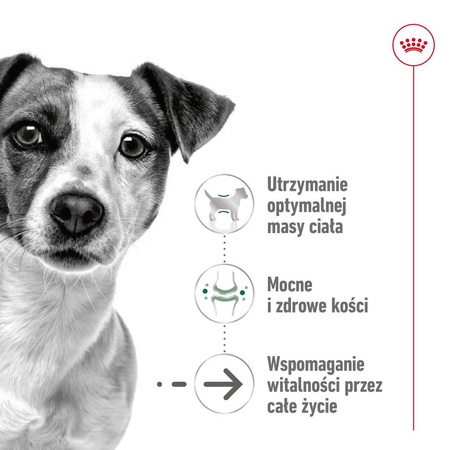 Royal Canin SHN Mini Adult 12+ 3,5kg Karma Sucha Dla Psów Dojrzałych Po 12 Roku Życia Ras Małych