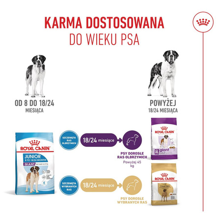 Royal Canin SHN Giant Junior 15kg Karma Sucha Dla Szczeniąt Od 8 Do 18/24 Miesiąca Życia Ras Olbrzymich