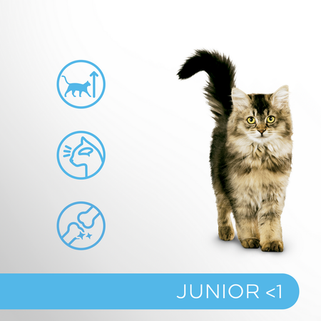 Perfect Fit Junior z Kurczakiem 2x750g Sucha Karma Dla Kociąt 1+1 GRATIS