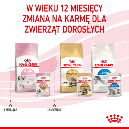 Royal Canin Kitten 85g Galaretka Mokra Dla Kociąt Do 12 Miesiąca Życia