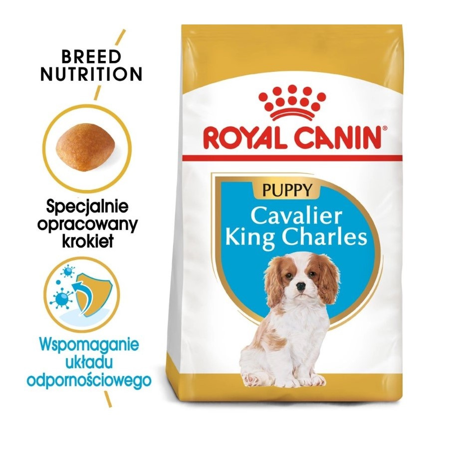Royal Canin BHN Cavalier King Charles Spaniel Puppy Karma Sucha