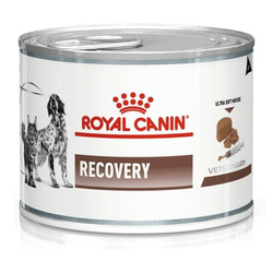 Royal Canin Veterinary VHN Recovery Mousse 195g Mokra Karma Mus Dla Psów i Kotów Rekonwalescencja