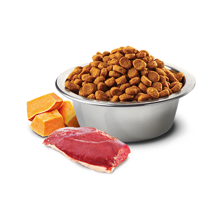 Farmina N&D Cat Pumpkin Duck & Cantaloupe 5kg Sucha Karma Dla Kota z Kaczką Dynią i Kantalupą