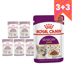 Royal Canin FHN Sensory Taste 6x85g Karma Mokra Kawałki W Sosie Dla Kotów Dorosłych Pobudzająca Wrażenia Smakowe 3+3 GRATIS