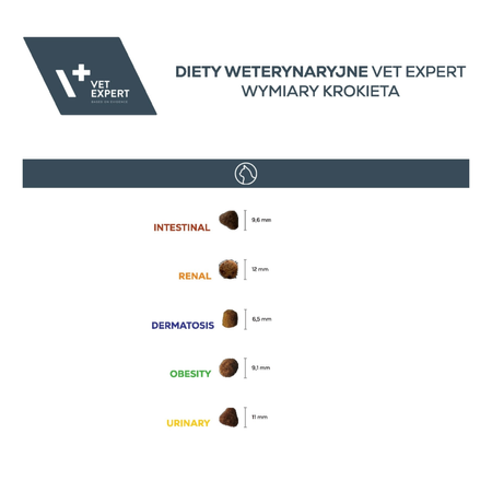 VetExpert Veterinary Diet Renal Cat 2kg Sucha Weterynaryjna Karma Dla Kotów Z Niewydolnością Nerek