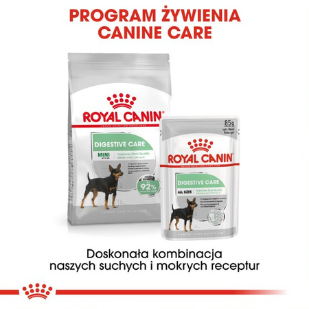 Royal Canin CCN Mini Digestive Care 8kg Karma Sucha Dla Psów Dorosłych Ras Małych O Wrażliwym Przewodzie Pokarmowym