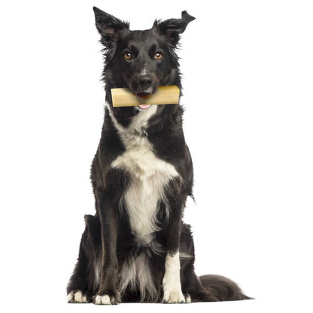 ZOLUX Ser Himalajski Giant 151 g Przysmak Dla Dużych Psów