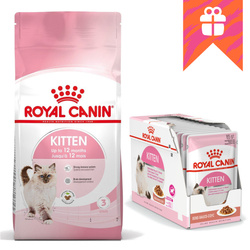 Royal Canin Fhn Kitten 10kg Karma Sucha Dla Kociąt + GRATIS 12x85g Mokra Karma w Sosie
