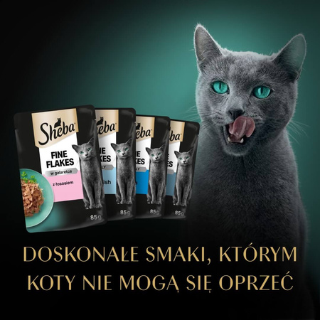 SHEBA Saszetki 80x85g Delicacy Rybne Smaki Mokra Karma Dla Dorosłych Kotów w Galaretce