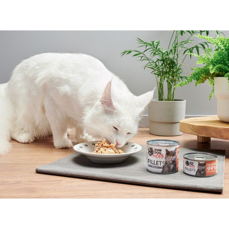 John Dog for Cats Mokra Karma Dla Dorosłych Kotów Filety Z Łososia 70g