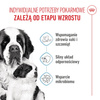 Royal Canin Giant Starter Mother & Babydog 15kg Karma Sucha Dla Suk W Czasie Ciąży Laktacji I Szczeniąt Ras Olbrzymich