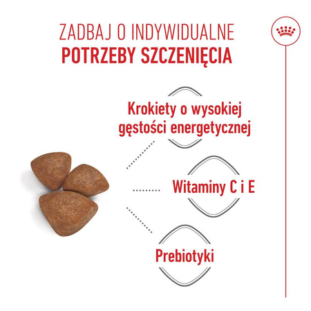 Royal Canin Mini Starter Mother & Babydog 1kg Karma Sucha Dla Suk W Ciąży I Okresie Laktacji Oraz Szczeniąt Ras Małych