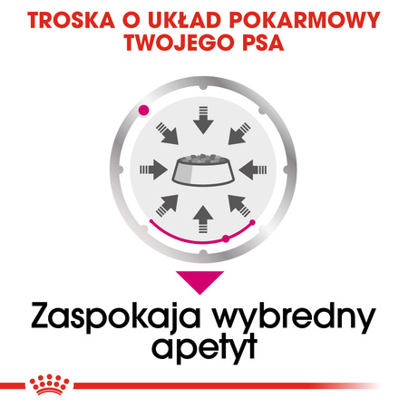 Royal Canin CCN Exigent 24x85g Karma Mokra Pasztet Dla Wybrednych Psów Dorosłych