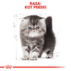 Royal Canin FBN Persian Kitten 400g Karma Sucha Dla Kociąt Do 12 Miesiąca Życia Rasy Pers