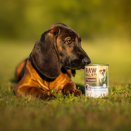 Raw Paleo Puppy Monoprotein 400g Mokra Karma Dla Szczeniąt z Dorszem