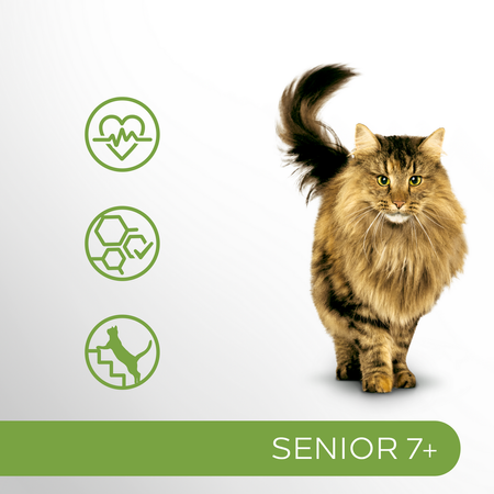 Perfect Fit Senior 7+ 5x750g Sucha Karma Dla Kotów Starszych Z Kurczakiem