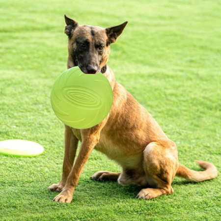 Frisbee Gumowa Zabawka Dla Psa Latający Dysk Kolor Zielony Średnica 18cm