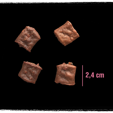 CRAVE z Łososiem 55g Kosteczki - bezzbożowy przysmak dla psa