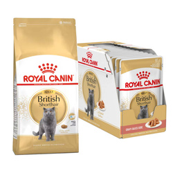 Royal Canin British Shorthair 10kg+12x85g Karma Dla Dorosłego Kota