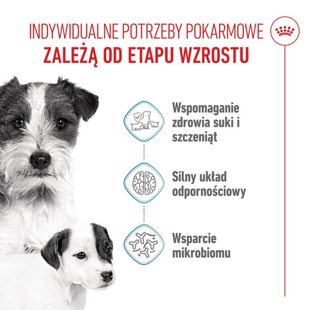 Royal Canin Mini Starter Mother & Babydog 4kg Karma Sucha Dla Suk W Ciąży I Okresie Laktacji Oraz Szczeniąt Ras Małych