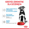 Royal Canin Maxi Puppy 140g Karma Mokra W Sosie Dla Szczeniąt Do 15 Miesiąca Życia Ras Dużych
