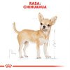 ROYAL CANIN Breed Health Nutrition Adult CHIHUAHUA 85g mokra karma dla psów rasy chihuahua