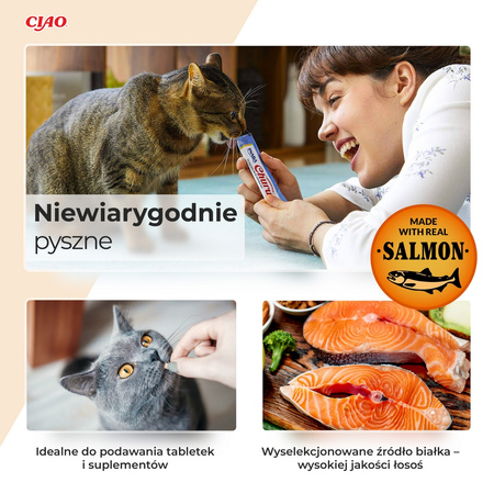 Inaba Cat Churu Salmon Recipe 40x14g Kremowy Przysmak Dla Kota Pasta Mix 3 Smaków