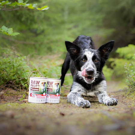 Vet Expert Raw Paleo Puppy Monoprotein Beef 24x400g Mokra Karma Dla Szczeniąt z Wołowiną