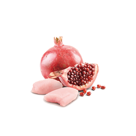Farmina N&D Dog Prime Chicken Pomegranate Puppy 140g Mokra Karma Dla Szczeniąt Kurczak i Granat