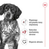 Royal Canin Medium Adult 140g Mokra Karma W Sosie Dla Psów Dorosłych Ras Średnich