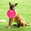 Frisbee Gumowa Zabawka Dla Psa Latający Dysk Kolor Różowy Średnica 18cm