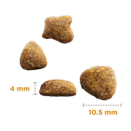 Sucha Karma Iams for Vitality Dla Starszych Kotów Z Rybami Oceanicznymi 3kg