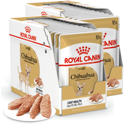 Royal Canin BHN Chihuahua Adult 24x85g Karma Mokra Pasztet Dla Psów Dorosłych Rasy Chihuahua