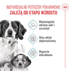 Royal Canin Medium Starter Mother&Babydog 15kg Karma Sucha Dla Suk W Ciąży I Okresie Laktacji Oraz Szczeniąt Ras Średnich