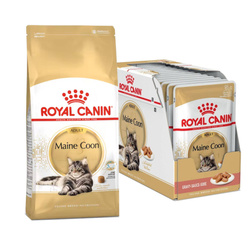 Royal Canin Maine Coon 10kg+12x85g Karma Dla Dorosłego Kota