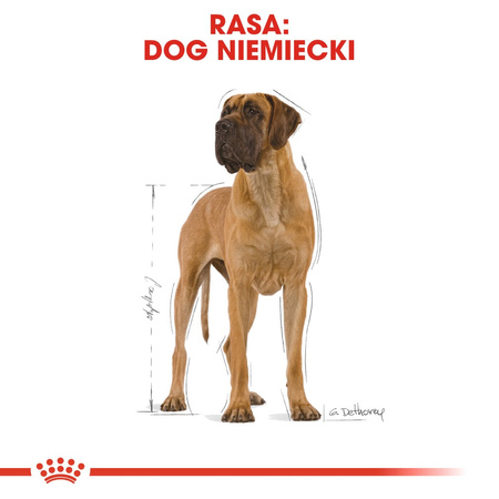 ROYAL CANIN Adult Dog Niemiecki Sucha Karma Dla Psów Dorosłych 12kg