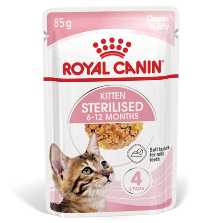 Royal Canin FHN Kitten Sterilised W Galaretce 12x85g Karma Mokra Dla Kociąt Sterylizowanych Do 12 Miesiąca Życia