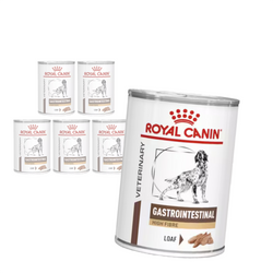 Royal Canin Veterinary VHN Dog Gastrointestinal High Fibre 6x410g Mokra Karma Pasztet Dla Psów z Zaburzeniami Trawienia