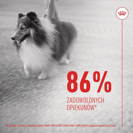 Royal Canin Supplements Dog Skin & Coat Adult 240g Suplementy Dla Psów Dorosłych w Postaci Przysmaków Wsparcie Zdrowia Skóry i Sierści