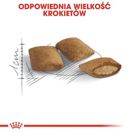 Royal Canin Ageing +12 Senior 400g Karma Sucha Dla Kotów Dojrzałych Powyżej 12 Roku Życia