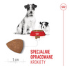Royal Canin Mini Starter Mother & Babydog 1kg Karma Sucha Dla Suk W Ciąży I Okresie Laktacji Oraz Szczeniąt Ras Małych