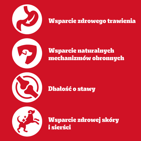 Pedigree Adult Vitality 32x85g Mokra Karma Dla Dorosłych Psów Mix Smaków W Sosie